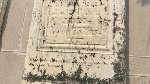 St George’s Cemetery  - Willoughby-Cemetery10.jpeg