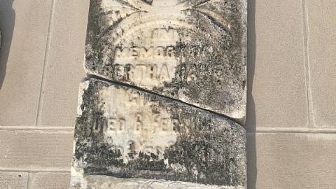 St George’s Cemetery  - Willoughby-Cemetery11.jpeg