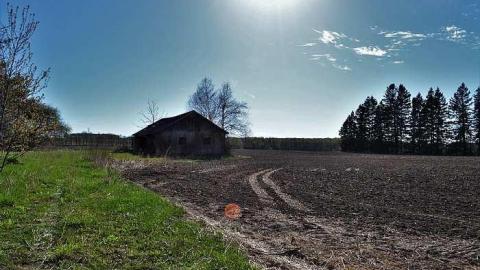 13/05/18 - Standing-Alone6.jpg