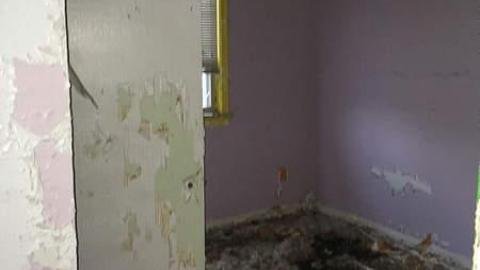 Before Tide Pods Were Cool - Farmageddon56.jpg