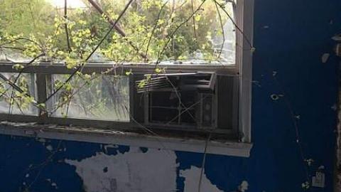 Before Tide Pods Were Cool - Farmageddon57.jpg