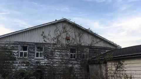 Photo from Before Tide Pods Were Cool