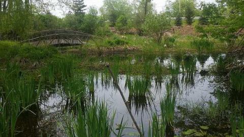 May 2018 - House-In-The-Swamp49.jpg