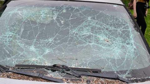 May 2018: Trip 1 - DSC_0123.jpg