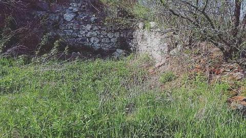 The Collapse - W.-Hatch-Farm6.jpg