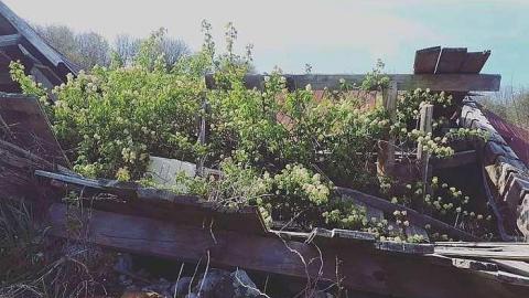 The Collapse - W.-Hatch-Farm26.jpg