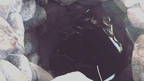 The Collapse - W.-Hatch-Farm27.jpg