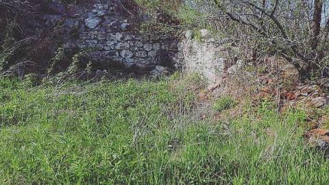 The Collapse - W.-Hatch-Farm29.jpg