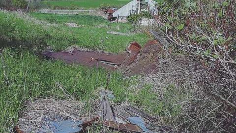 The Collapse - W.-Hatch-Farm12.jpg