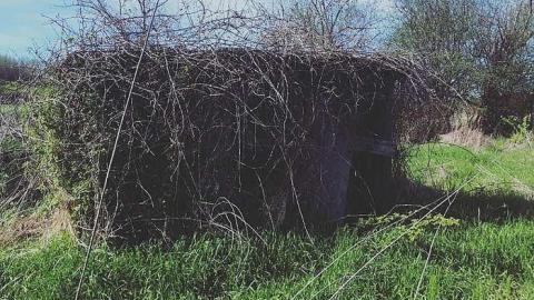 The Collapse - W.-Hatch-Farm13.jpg