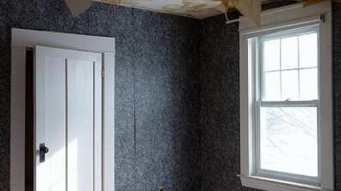 FoxTrot & Gumballs '18 - O6-1-A.K.A.-The-Fox-Run57.jpg