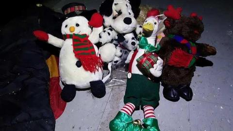 FoxTrot & Gumballs '18 - O6-1-A.K.A.-The-Fox-Run45.jpg