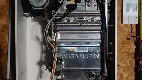 FoxTrot & Gumballs '18 - O6-1-A.K.A.-The-Fox-Run46.jpg