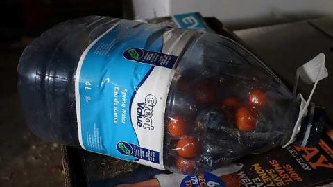 FoxTrot & Gumballs '18 - O6-1-A.K.A.-The-Fox-Run63.jpg