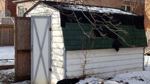 FoxTrot & Gumballs '18 - O6-1-A.K.A.-The-Fox-Run49.jpg