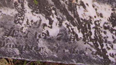 I Am Not Dead But Sleeping - Harrietsville-Anglican-Cemetery6.jpg