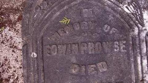 I Am Not Dead But Sleeping - Harrietsville-Anglican-Cemetery9.jpg