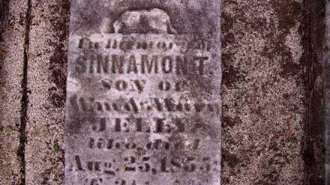 I Am Not Dead But Sleeping - Harrietsville-Anglican-Cemetery13.jpg