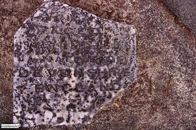 Harrietsville Anglican Cemetery - Thames Centre, Ontario