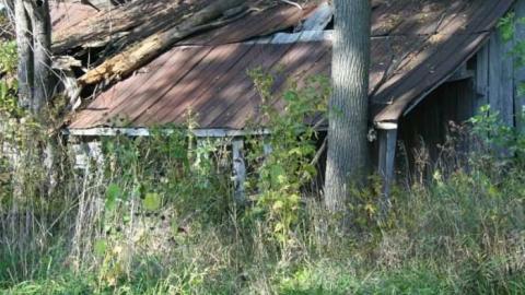 Forgotten Veranda - Kent-Bridge-Rd--Fairview-Line6.jpg