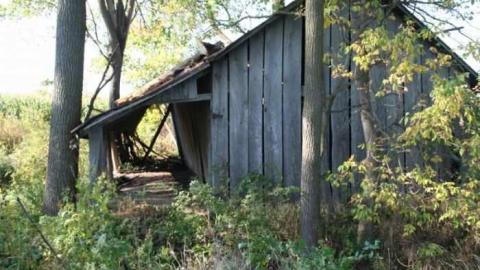 Forgotten Veranda - Kent-Bridge-Rd--Fairview-Line7.jpg