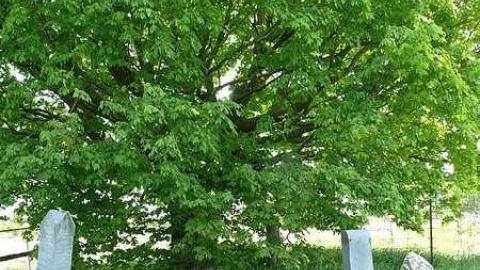 Scovill - Scovill-Cemetery26.jpg