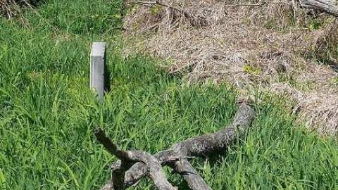 Scovill - Scovill-Cemetery17.jpg