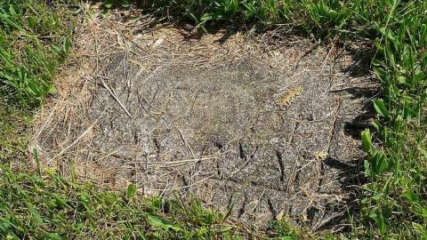 Scovill - Scovill-Cemetery5.jpg