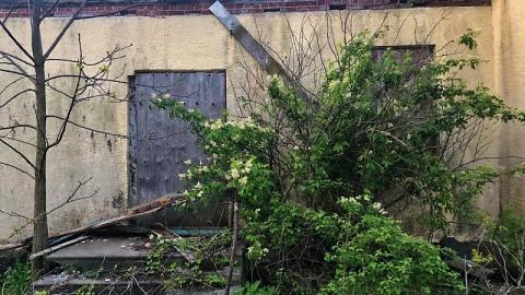 May 2018 - C055AB43-5EE8-46A3-B4C1-884D5EB5B865.jpeg