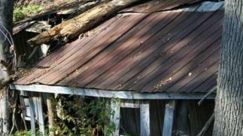 Forgotten Veranda - Kent-Bridge-Rd--Fairview-Line13.jpg