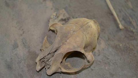 May 2018: Trip 2 - DSC_0163.jpg