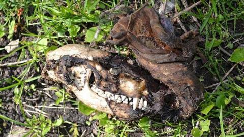 May 2018: Trip 2 - DSC_0168.jpg