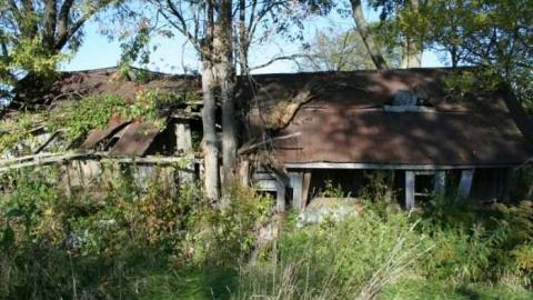 Forgotten Veranda - Kent-Bridge-Rd--Fairview-Line14.jpg