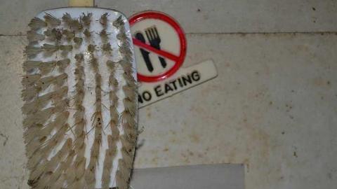 May 2018: Trip 2 - DSC_0210.jpg