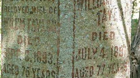 Beware the Ides of March - Great-Caesars-Ghost19.jpg