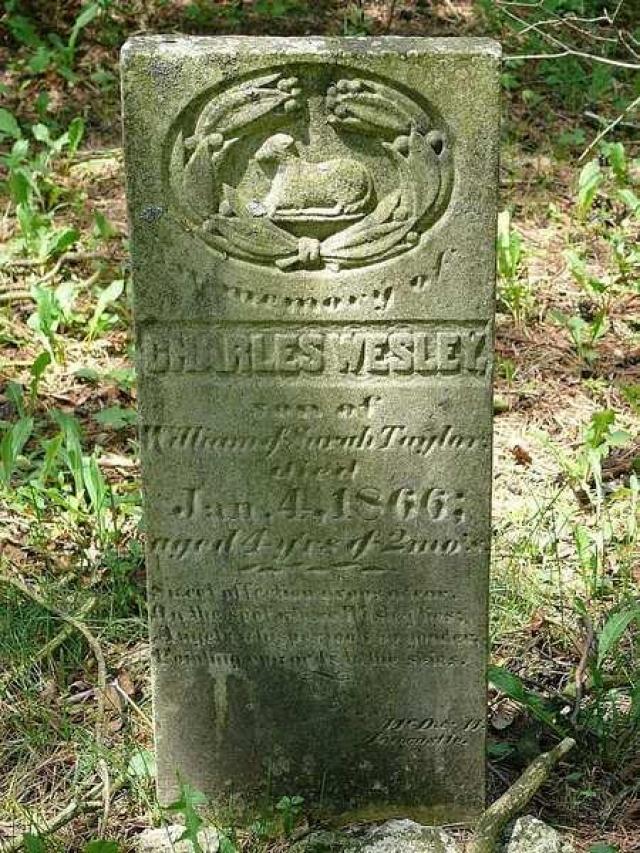 Great Caesar's Ghost photo 5