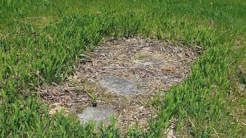 Beware the Ides of March - Great-Caesars-Ghost11.jpg