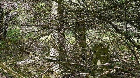 Beware the Ides of March - Great-Caesars-Ghost12.jpg