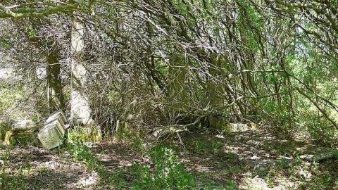 Beware the Ides of March - Great-Caesars-Ghost26.jpg