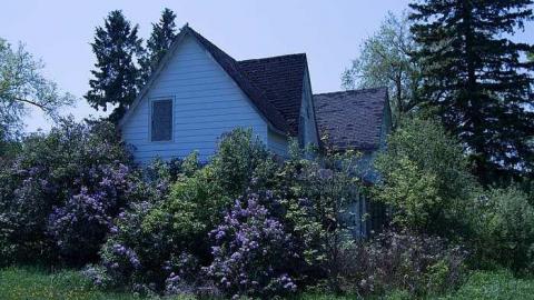 Tv's and records  - House-From-the-Past1.jpg