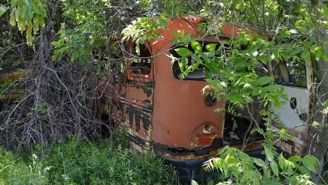 School Days - DSC_0076.jpg