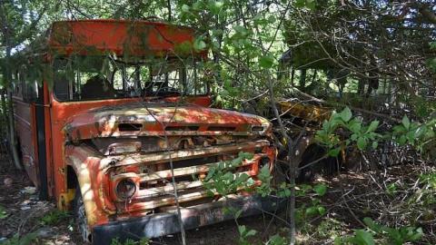 School Days - DSC_0101.jpg