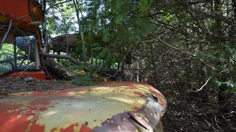 School Days - DSC_0102.jpg