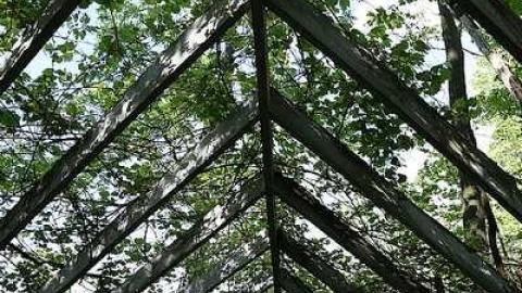 Photo from 2018 site still going strong