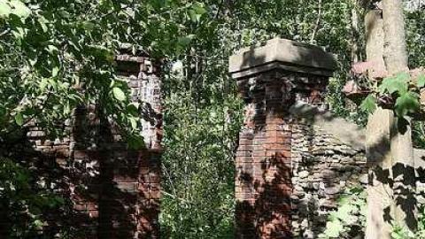 Photo from 2018 site still going strong