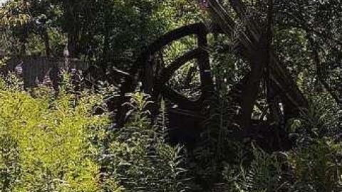 Photo from Summer visit