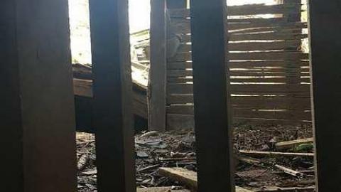 May 2018 - c-IMG_0324.jpg