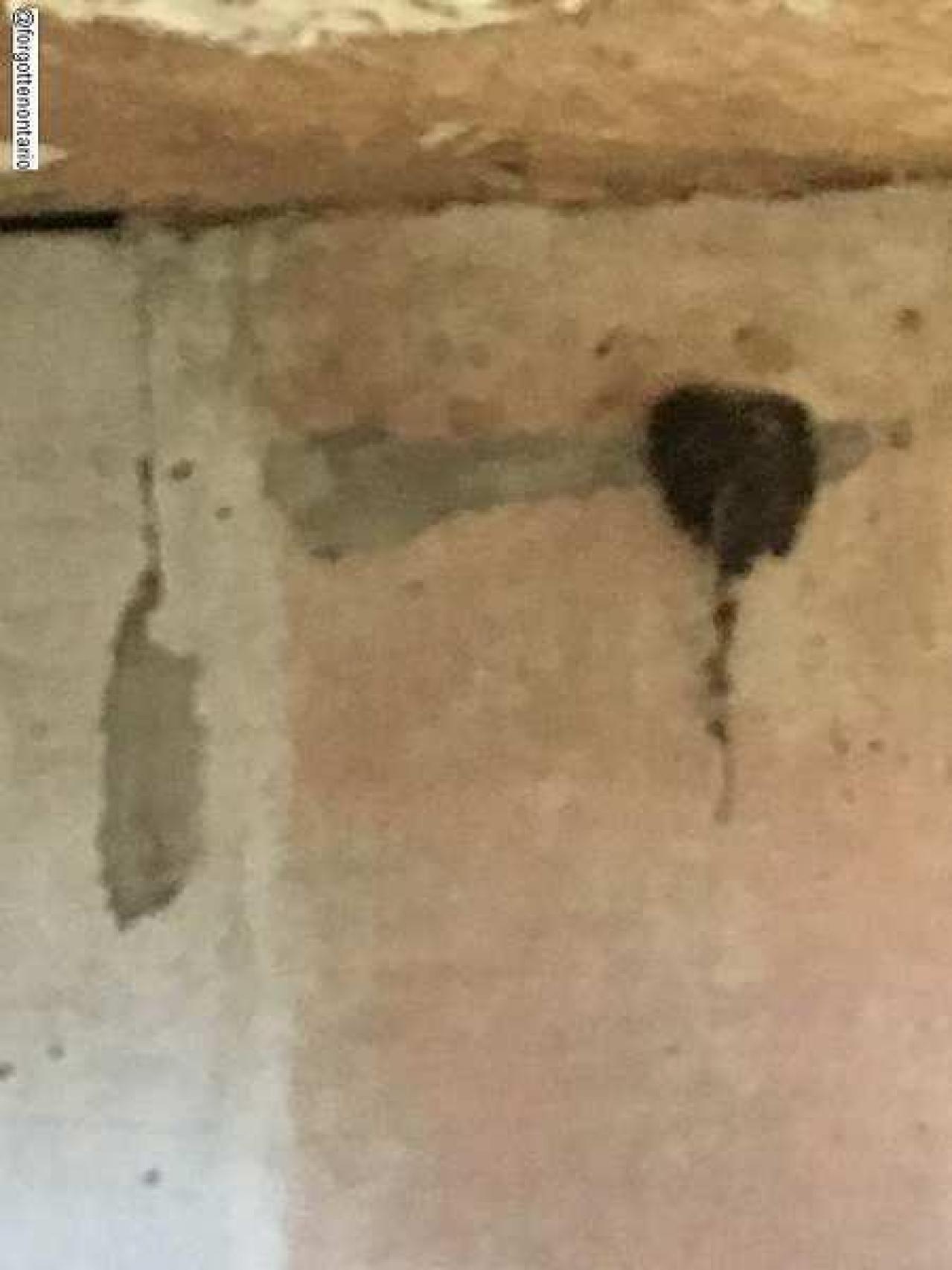 May 2018 - m-IMG_0345.jpg