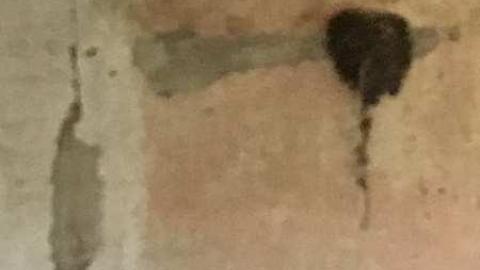 May 2018 - m-IMG_0345.jpg