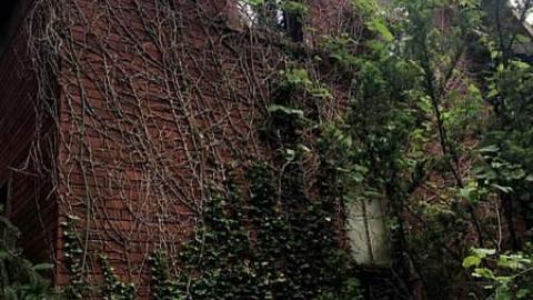 June 2018 - You-Were-But-A-Ghost-In-My-Arms75.jpg